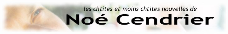 les chtites et moins chtites nouvelles de Noé Cendrier